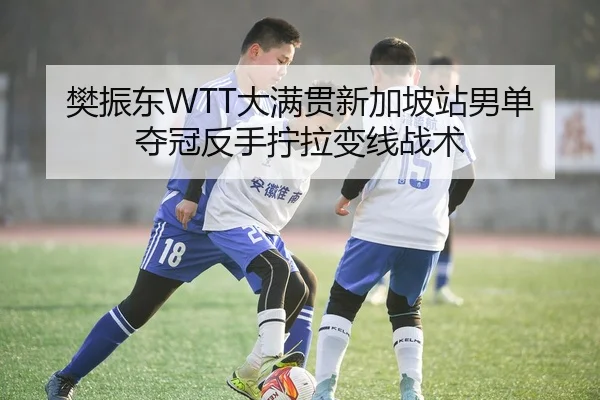 樊振东WTT大满贯新加坡站男单夺冠反手拧拉变线战术
