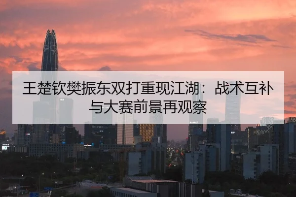 王楚钦樊振东双打重现江湖：战术互补与大赛前景再观察